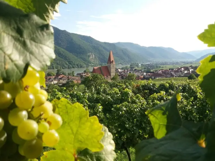 Frühjahr/ Sommer Wachau